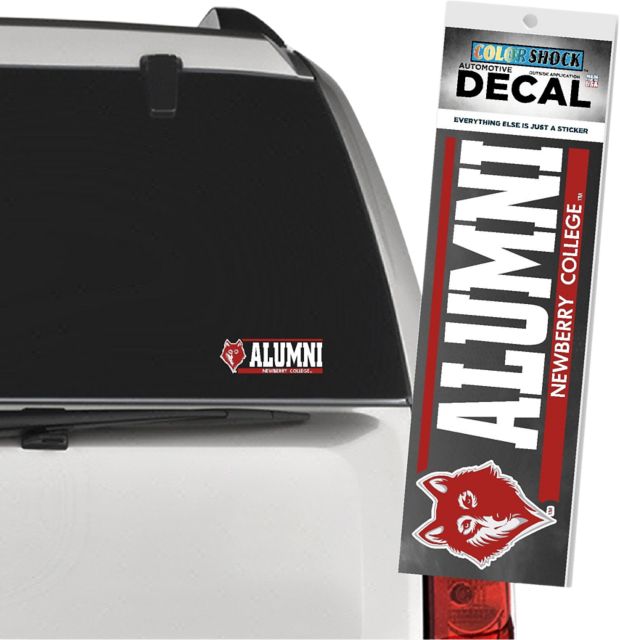 DECAL STRIP 1-4C I/CLEAR/    .